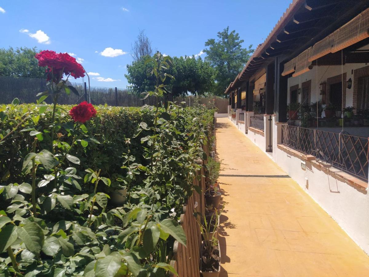 Casa Rural Alamillo Luque Dış mekan fotoğraf